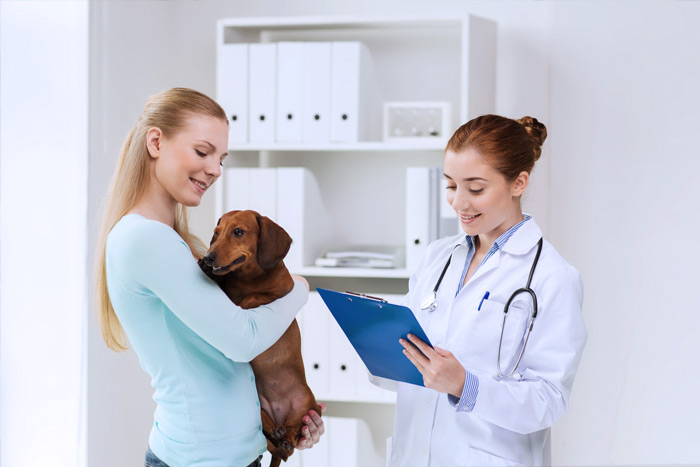 ЭЦП для оформления ветеринарных сертификатов (ГИС Меркурий) в Энгельсе